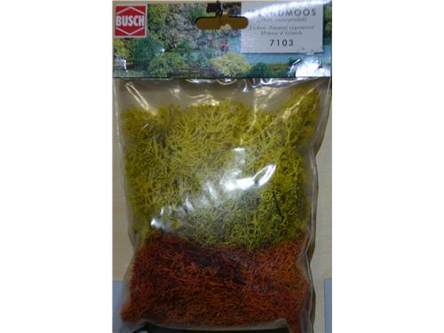 Cespugli - art. 7103 - Busch